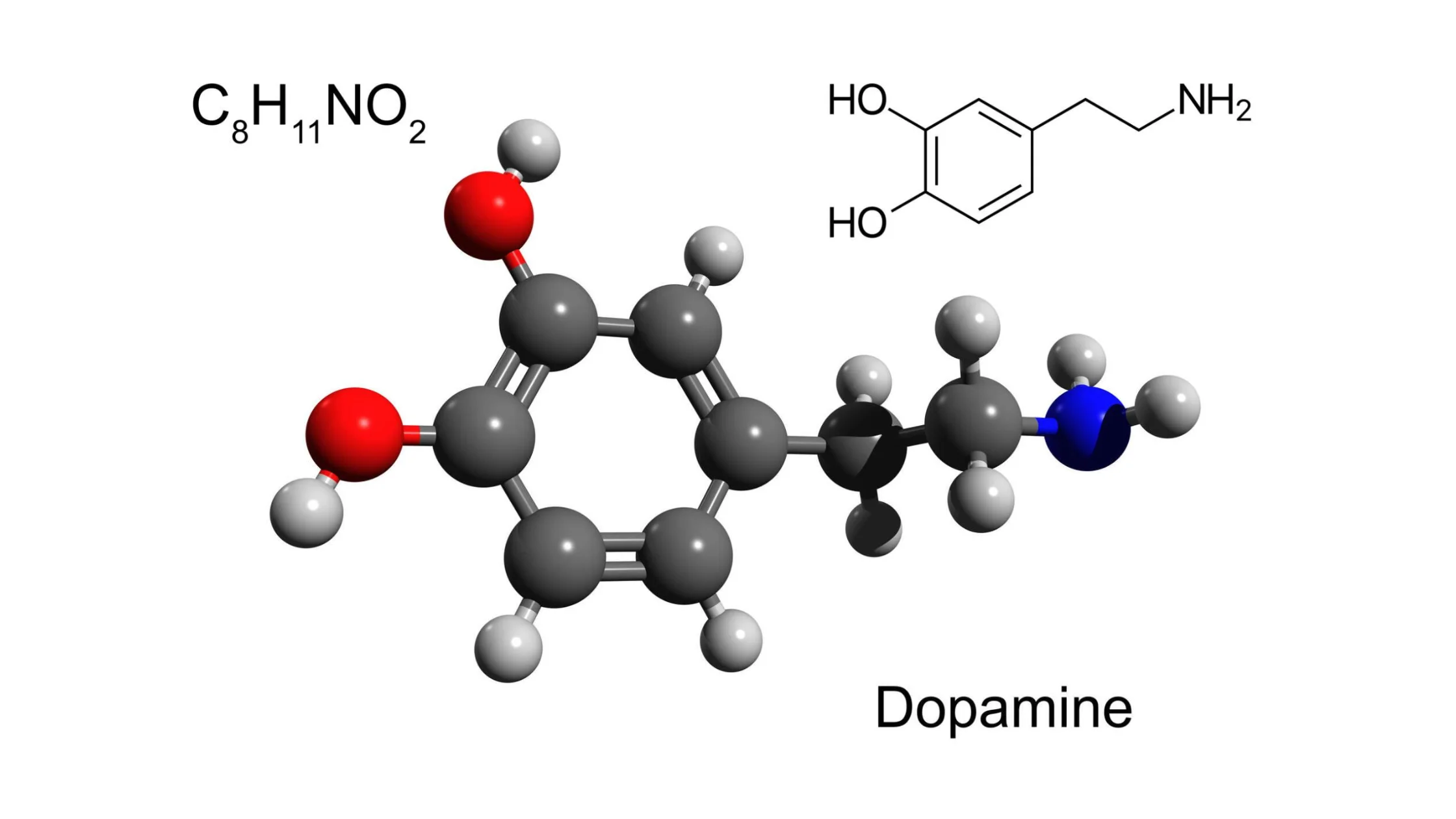 tertiary-amines -market