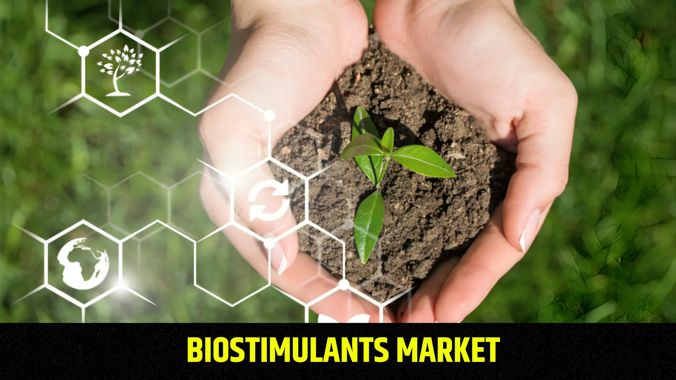 biostimulants-market