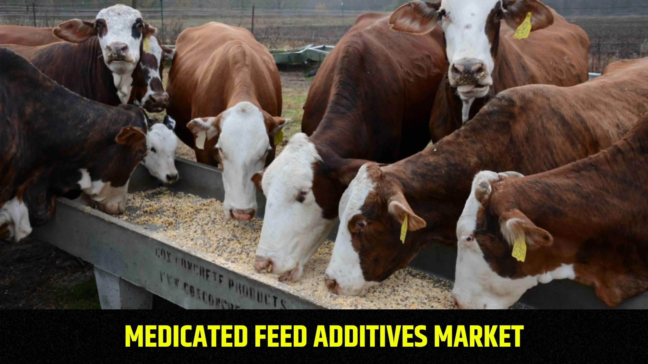 medicated-feed-additives-market